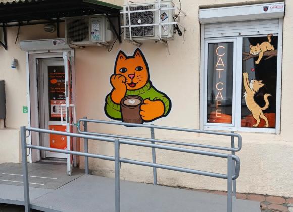 котокафе в Одесі