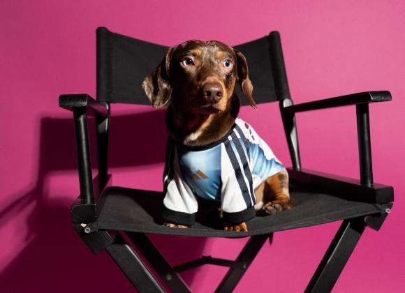 Футболки adidas для собак