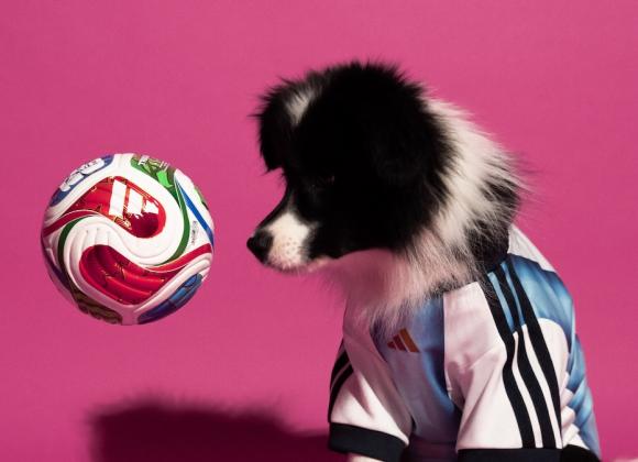 Футболки adidas для собак