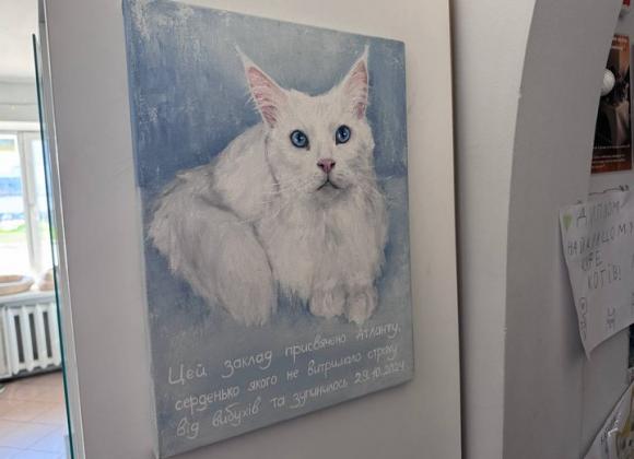 Котокафе у Кривому Розі