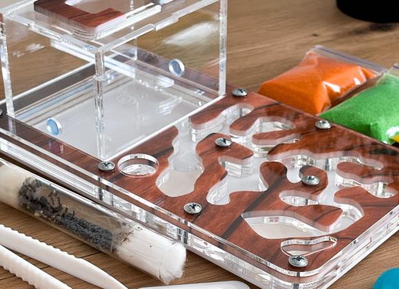 Мурашині ферми