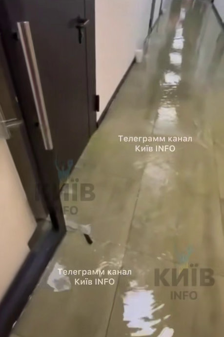 Фото: скріншот