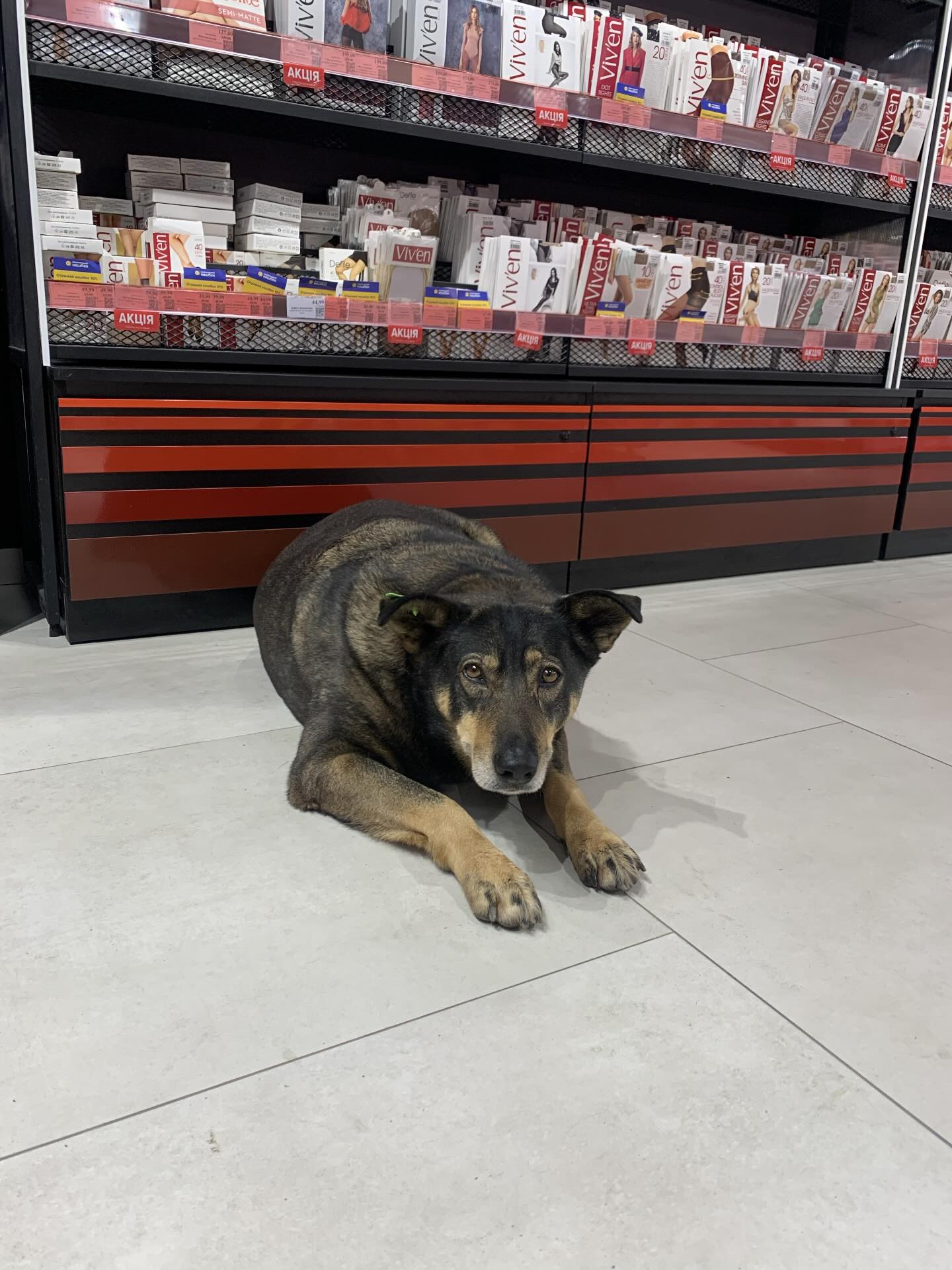 Фото: threads.com/@taniatrozyk